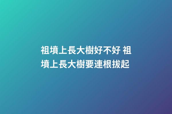 祖墳上長大樹好不好 祖墳上長大樹要連根拔起